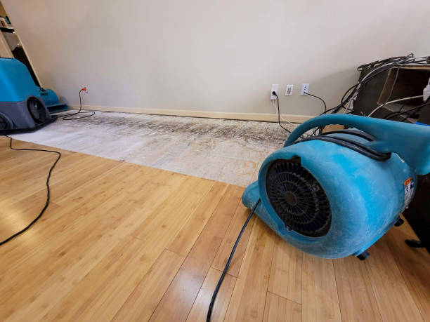 Professional Water Damage Repair technician working in Quincy, MI